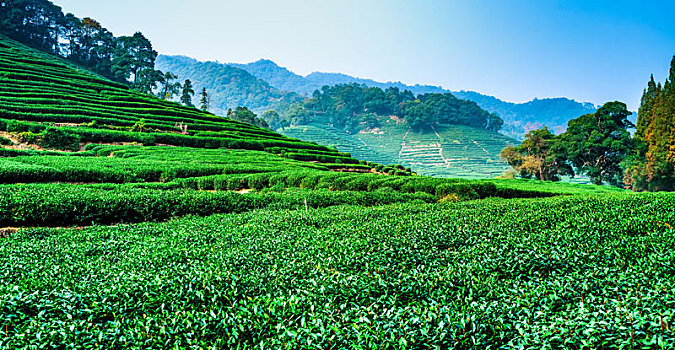 xskt tây ninh