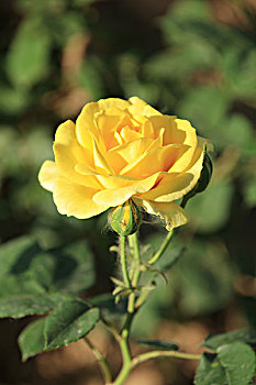 kqxs mien bắc
