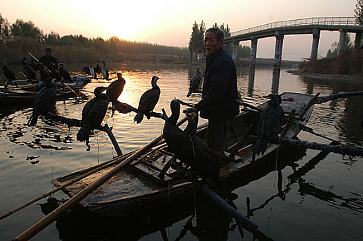 dự đoán bạch thủ đề hôm nay