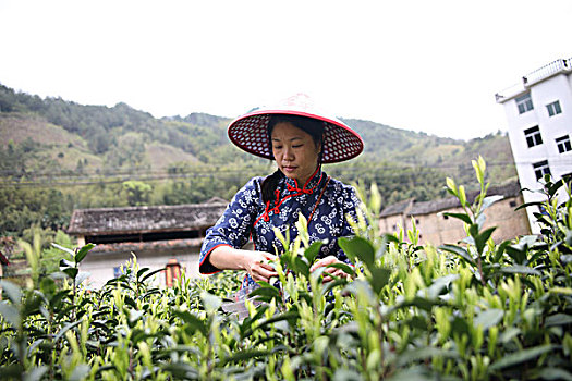 thống kê bạch thủ miền bắc