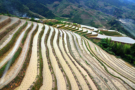 soi bạch thủ lô miễn phí