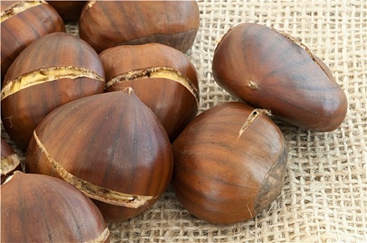 kết quả xổ số 100 ngày