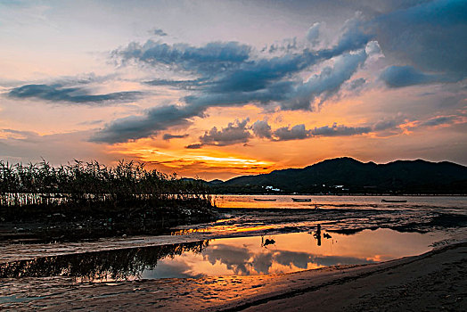 cầu bạch thủ miền bắc