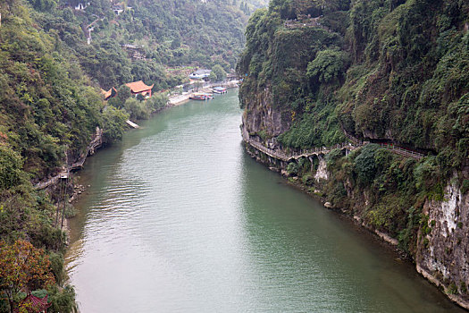 bach thu lo khung 5 ngay