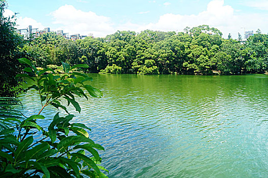 hướng dẫn chơi lô xiên