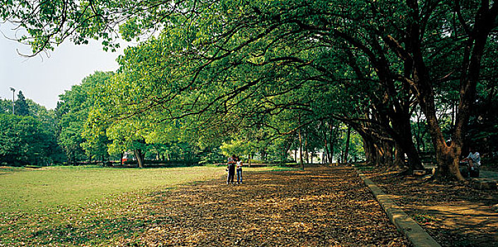 trực tiếp xổ số miền bắc minh ngọc