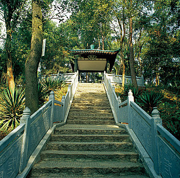 cau bach thu kep