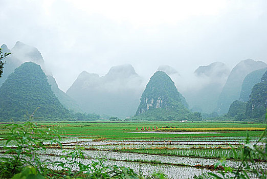 trang đánh đề online