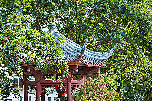soi cau xo so da nang