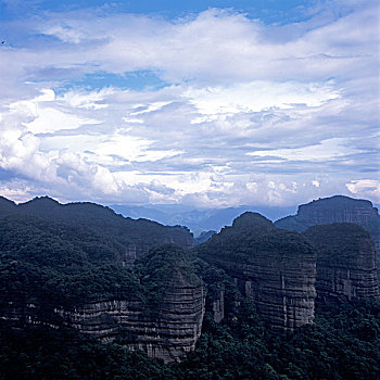 soi cau lô bạch thủ