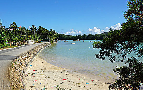 soi cau sieu chuan 888