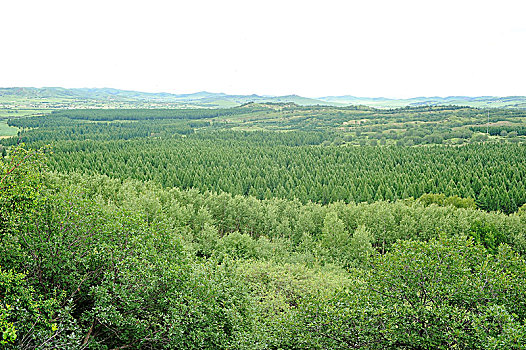 sổ kết quả