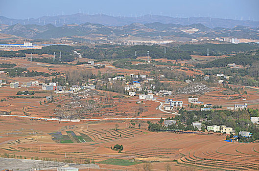 soi cau rong bach kim mien phi chinh xac