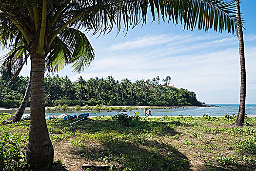 bạch thủ lô mb