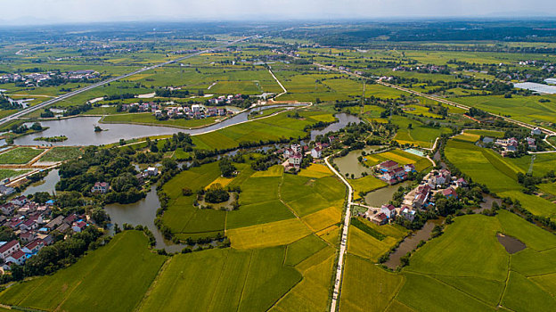 bạch thủ lo hôm nay