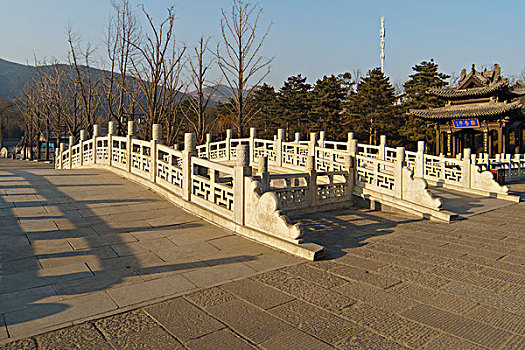 dự đoán