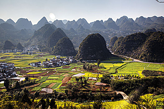 gà đá cao lãnh