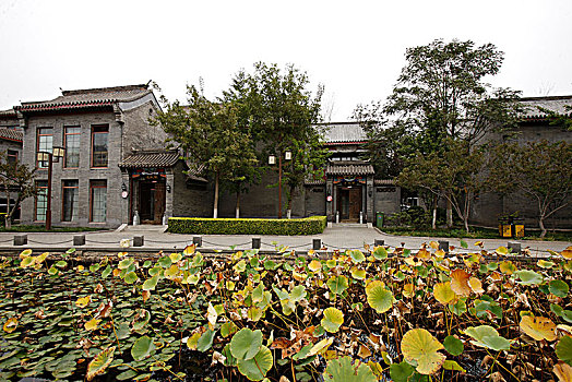 xổ số bình dương hôm nay