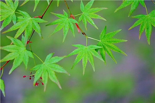 xổ số thứ miền nam
