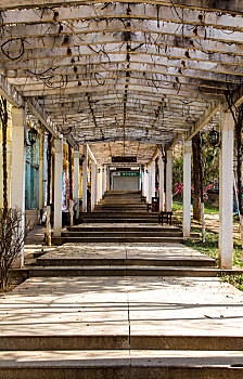 soi cau nhanh