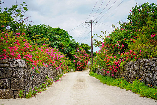 thống kê bạch thủ miền bắc