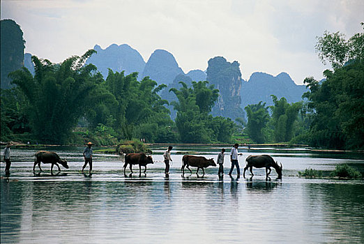 soi cau lo de mien bac hom nay