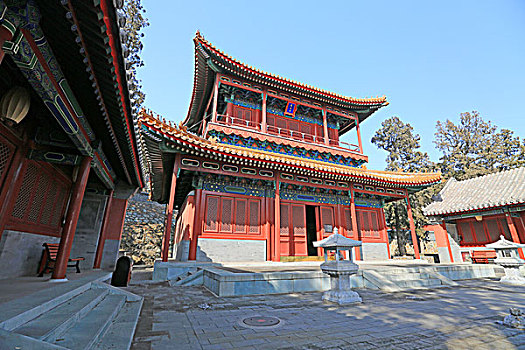 bach thu lo kep khung 5 ngay