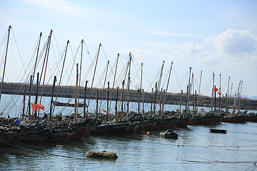 soi cau betwin2888