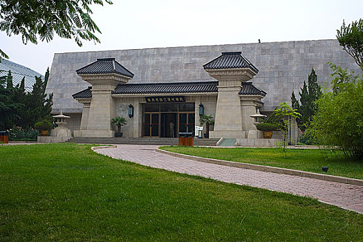 soi lo bạch thủ