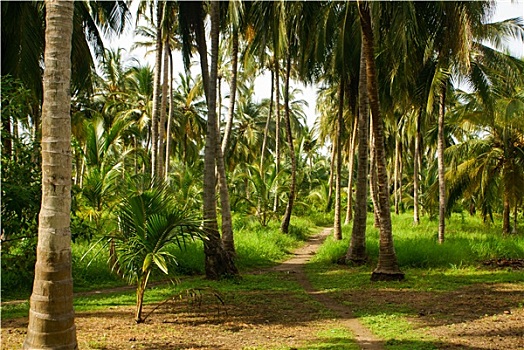 xổ số điện toán