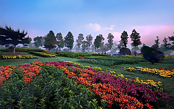 số khánh hòa