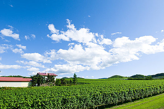 dự đoán lô hôm nay