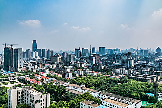 cau lo bach thu khung 5 ngay
