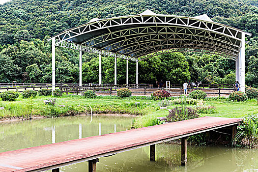 xsmn chu nhat du doan