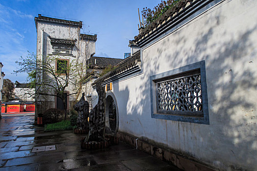 soi câu bach thu