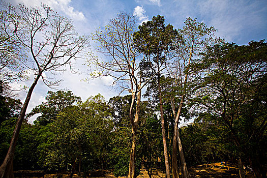 cầu lô đề hôm nay
