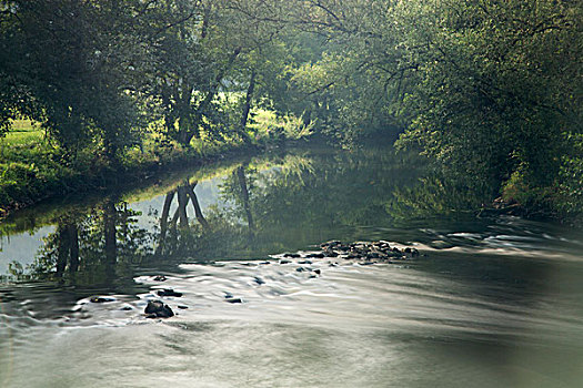 atrungroi mn