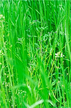 trang đánh số đề uy tín