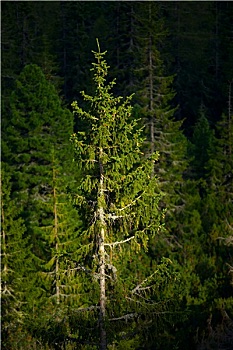 du doan xs 24h