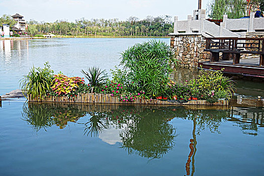 soi cau lo rong