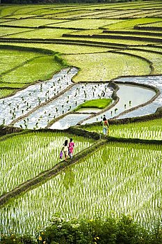 xổ số kiến thiết bến tre