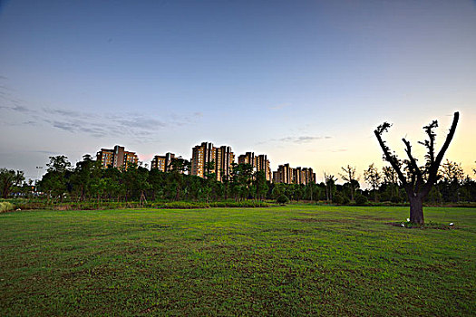 xsmn thu 5 hang tuan