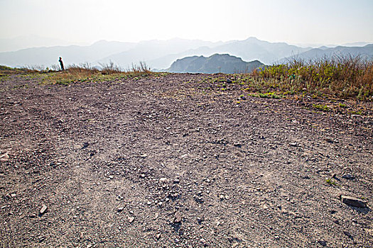 soi bach thu lo