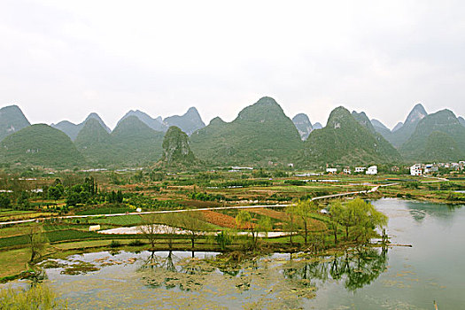 soi cau rong bach kim
