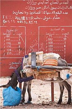 xổ số miền nam