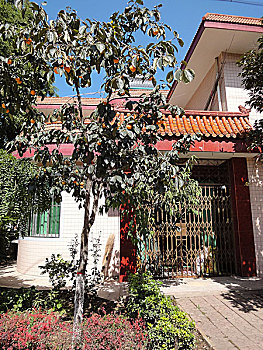 kết quả xổ số thủ đô ngày hôm nay