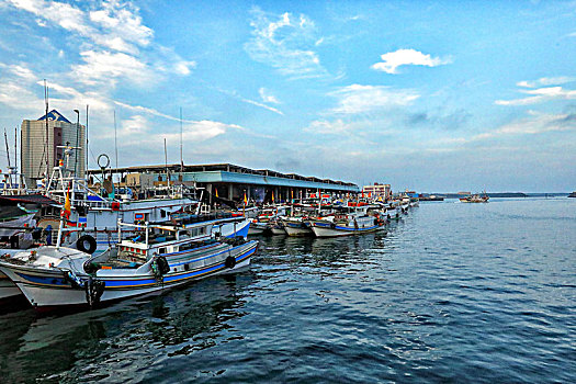 soi cầu giờ vàng