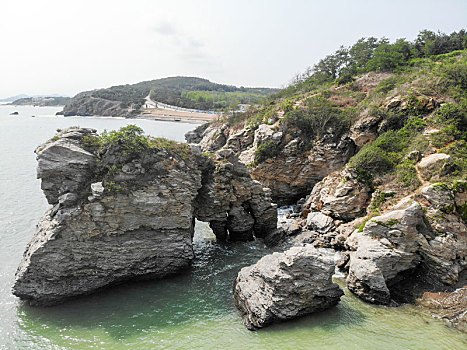 soi câu bach kim