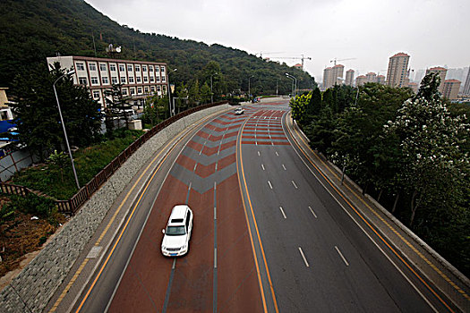 soi lo bach thu