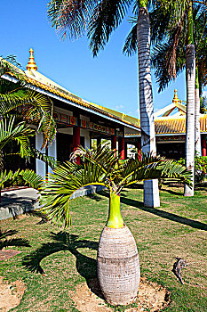 quay thu xo so